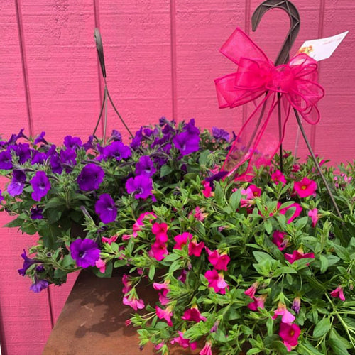 Hanging Basket