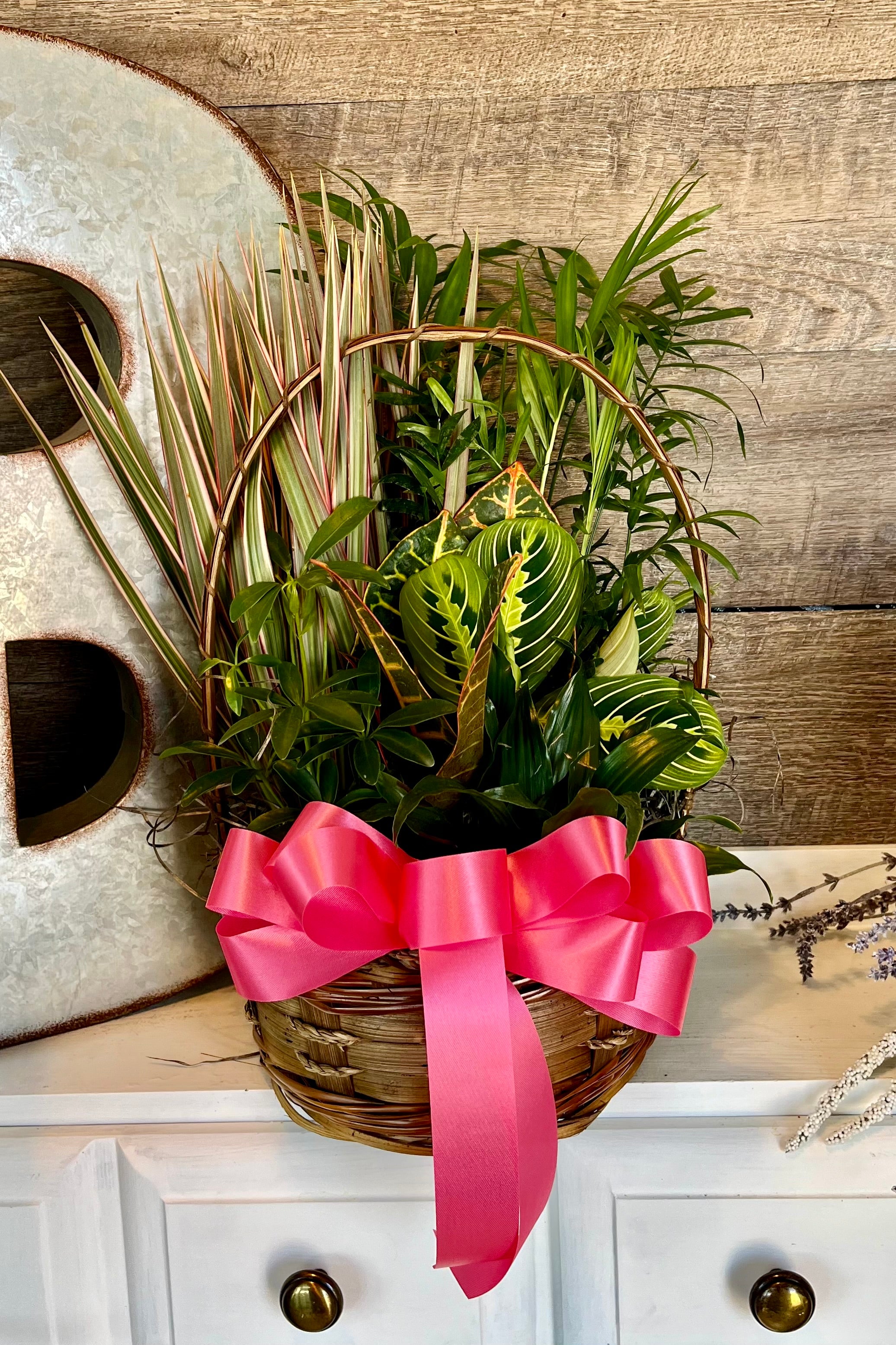 The Dish Garden Planter