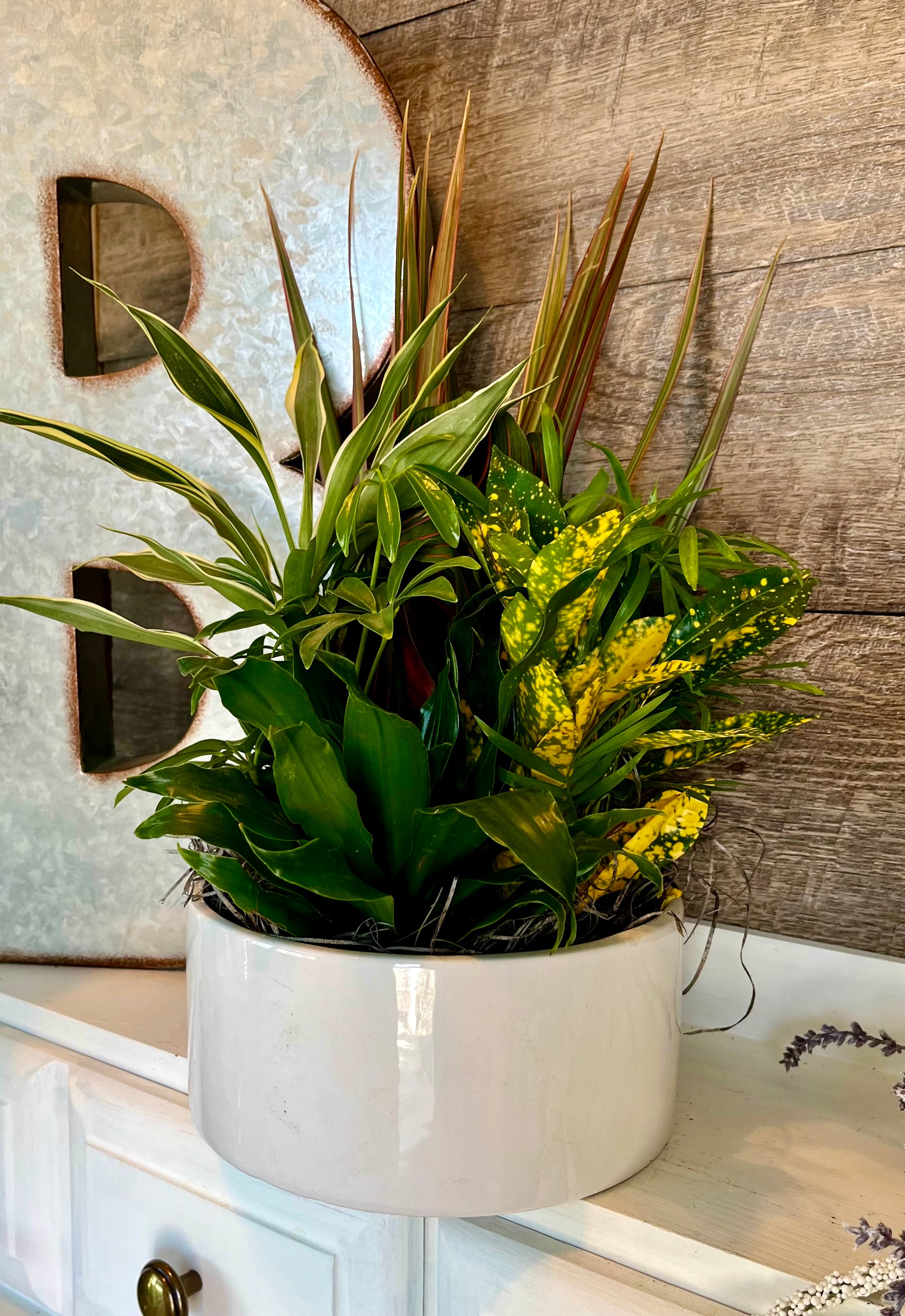 The Dish Garden Planter