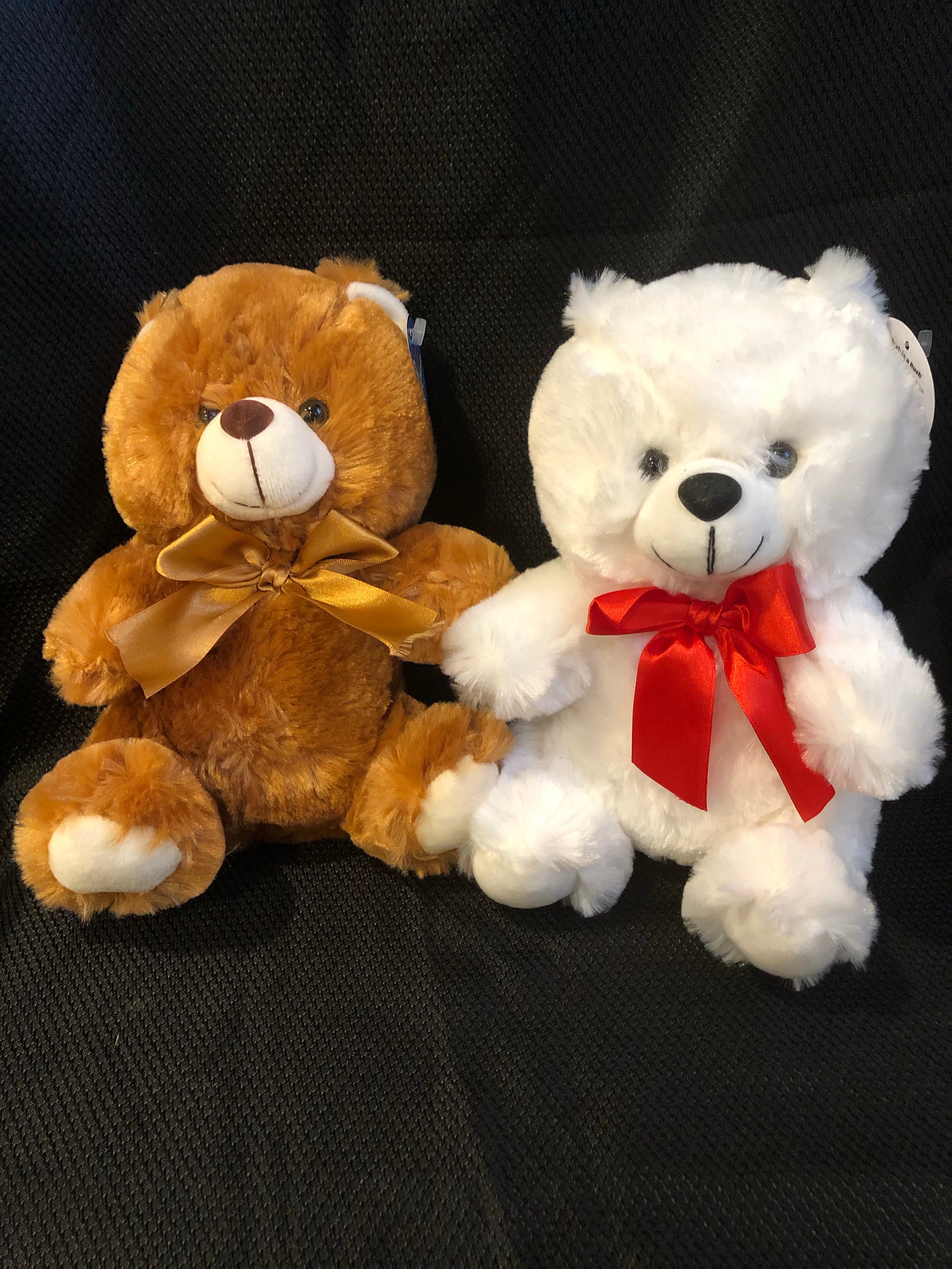Beauty Bear
